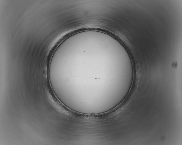 X0000110910934200907021431