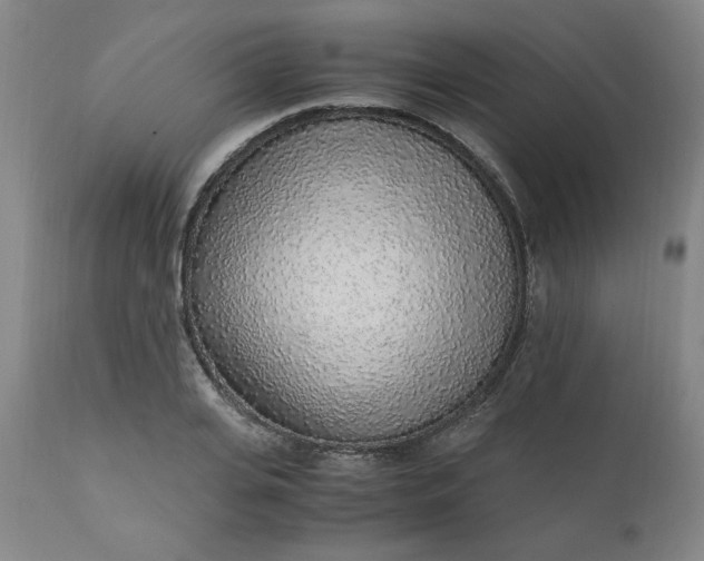 X0000110910935200907021431