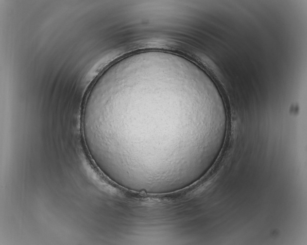 X0000110910938200907021431