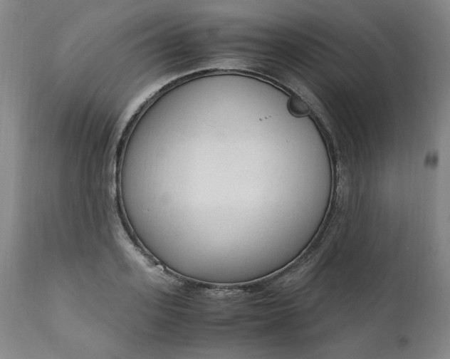 X0000110910939200907021431