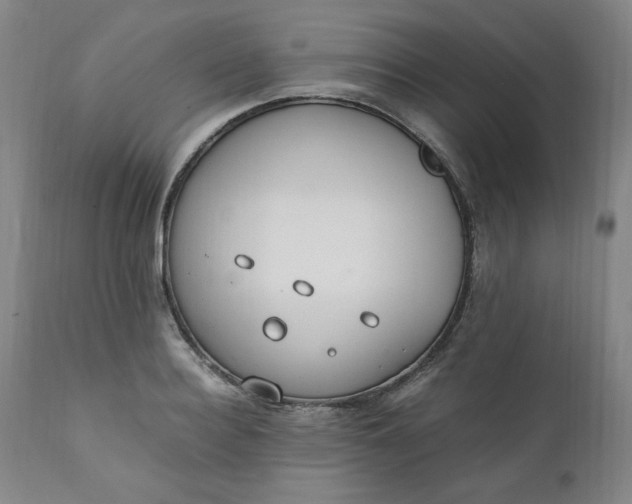 X0000110910940200907021431