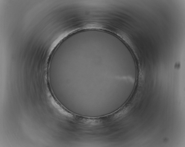 X0000110910941200907021431