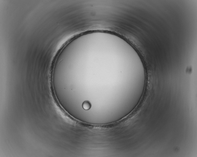 X0000110910942200907021431