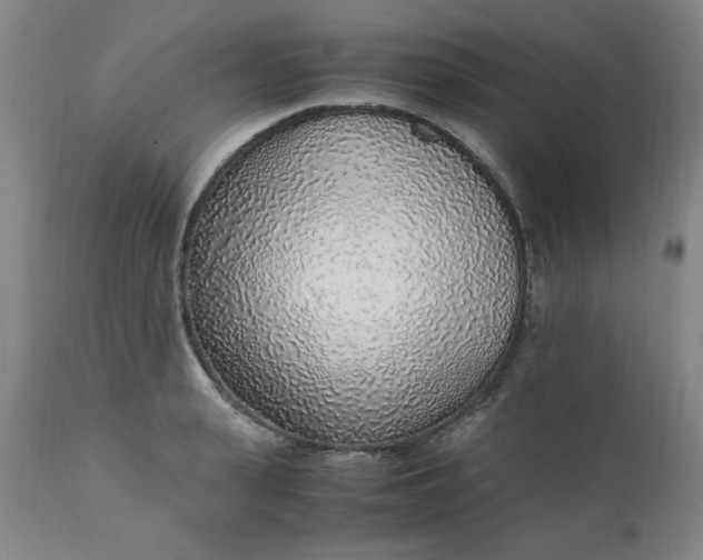 X0000110910943200907021432