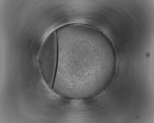 X0000110910944200907021432