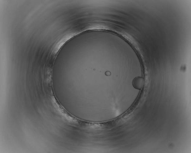 X0000110910945200907021432