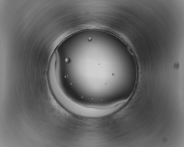 X0000110910946200907021432