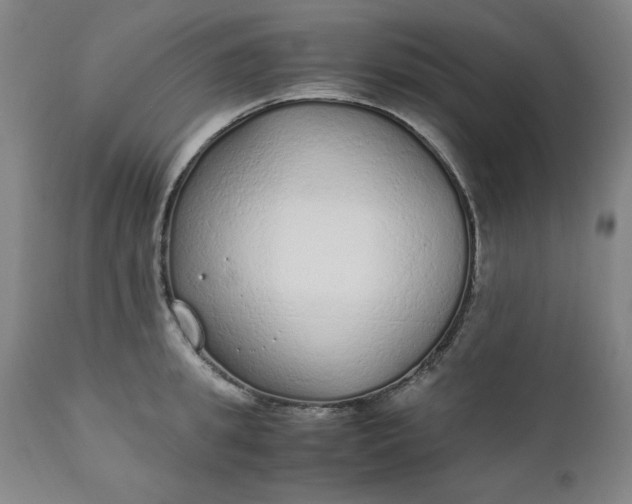 X0000110910949200907021432