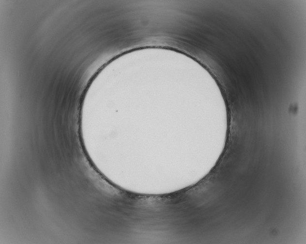 X0000110910950200907021432