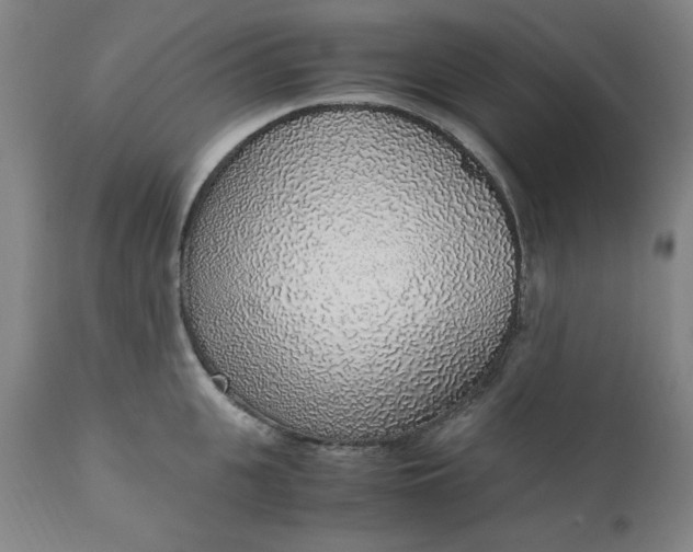 X0000110910951200907021432