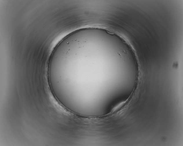 X0000110910952200907021432