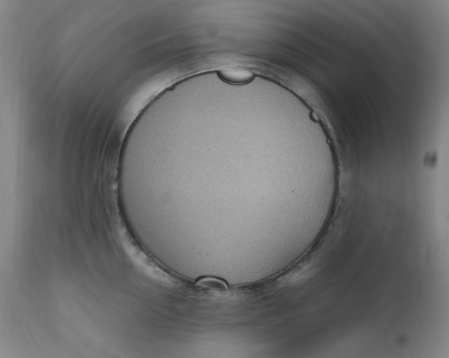 X0000110910954200907021432