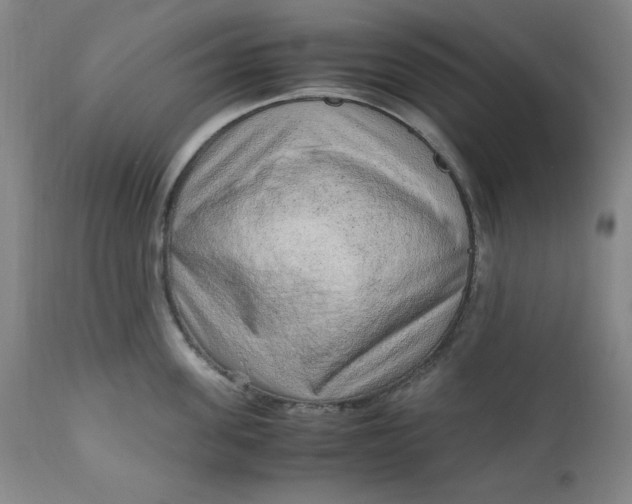 X0000110910955200907021432