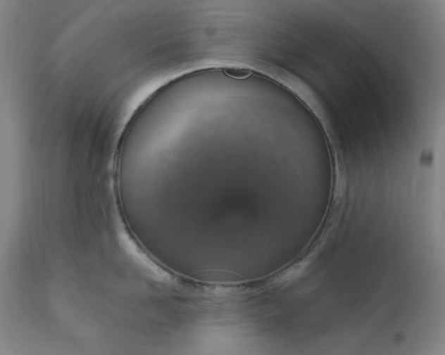 X0000110910958200907021432