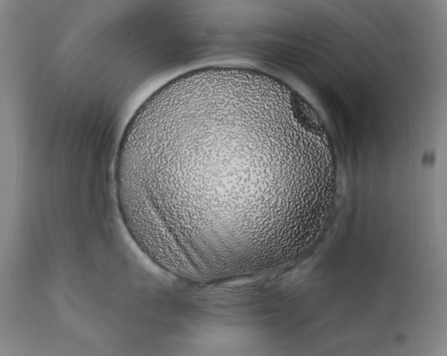 X0000110910959200907021432