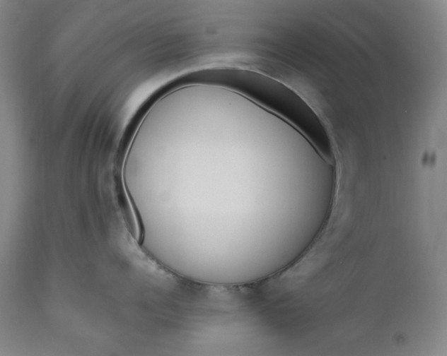 X0000110910960200907021432