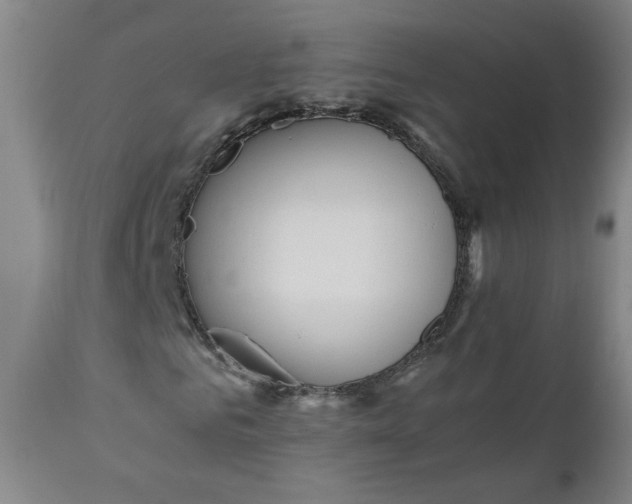 X0000110910961200907021431