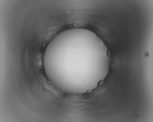 X0000110910962200907021431