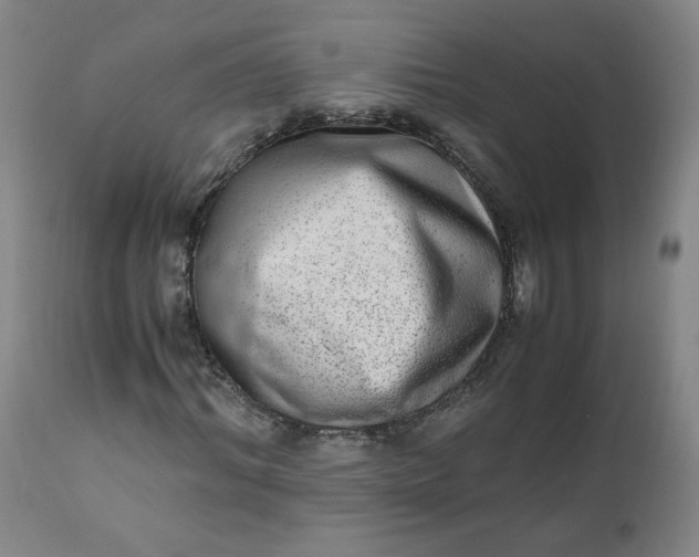 X0000110910964200907021431