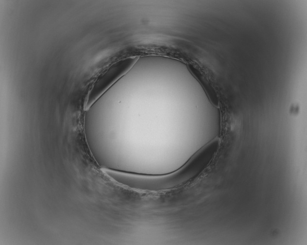 X0000110910965200907021431