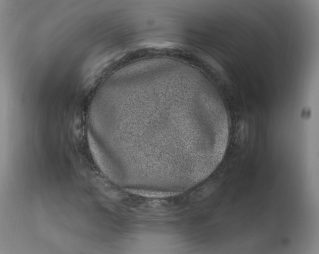 X0000110910966200907021431