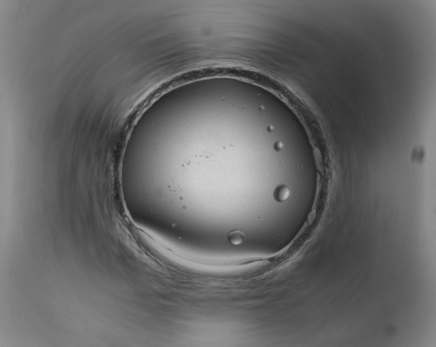 X0000110910969200907021431