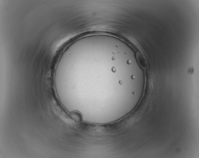 X0000110910971200907021431