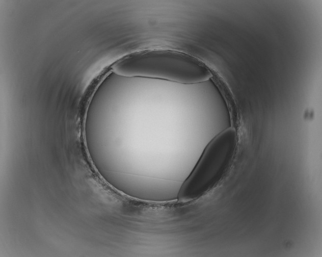 X0000110910973200907021431