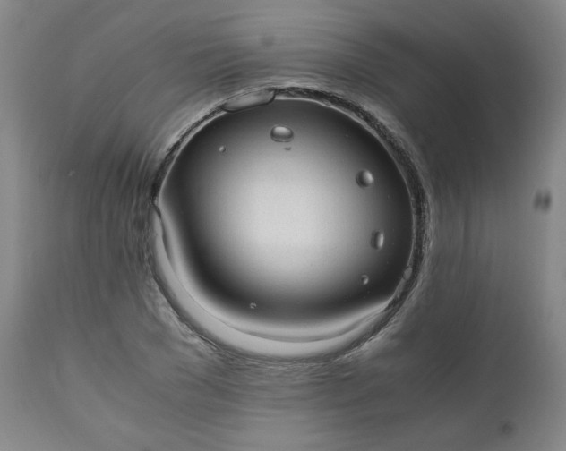 X0000110910977200907021431