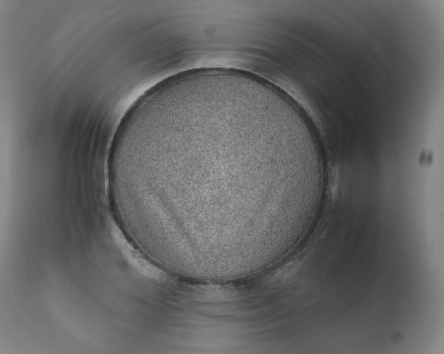 X0000110910980200907021431