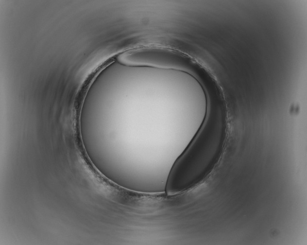 X0000110910981200907021431