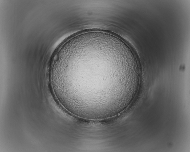 X0000110910983200907021431