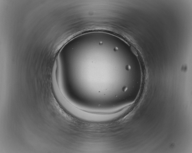 X0000110910985200907021431