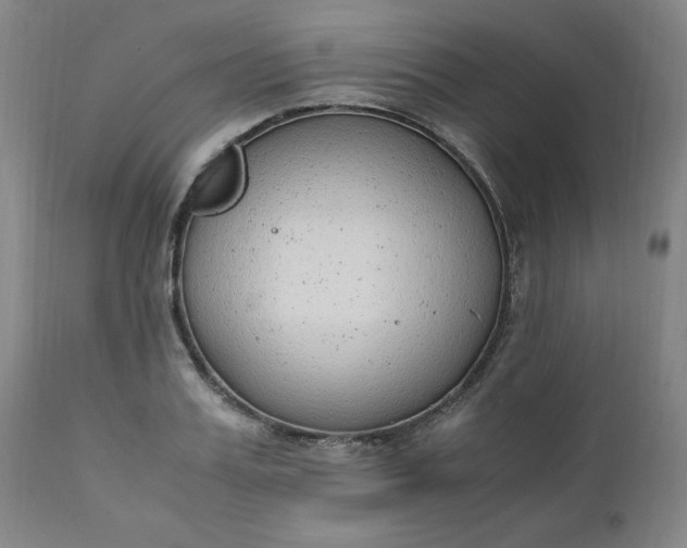 X0000110910987200907021431