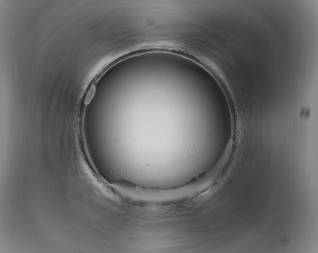 X0000110910989200907021431