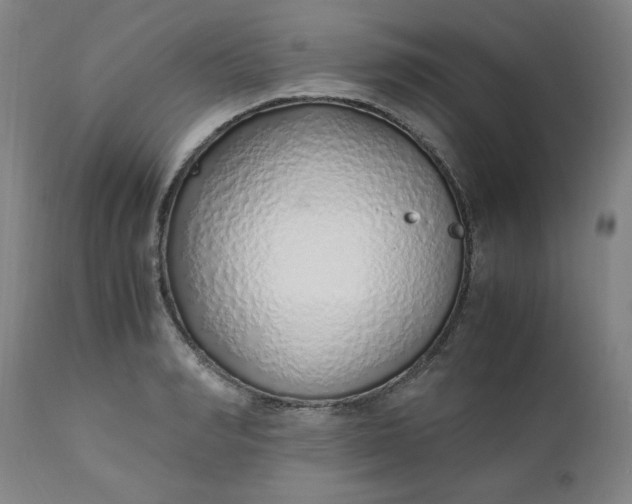 X0000110910990200907021431