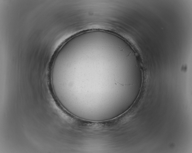 X0000110910991200907021431