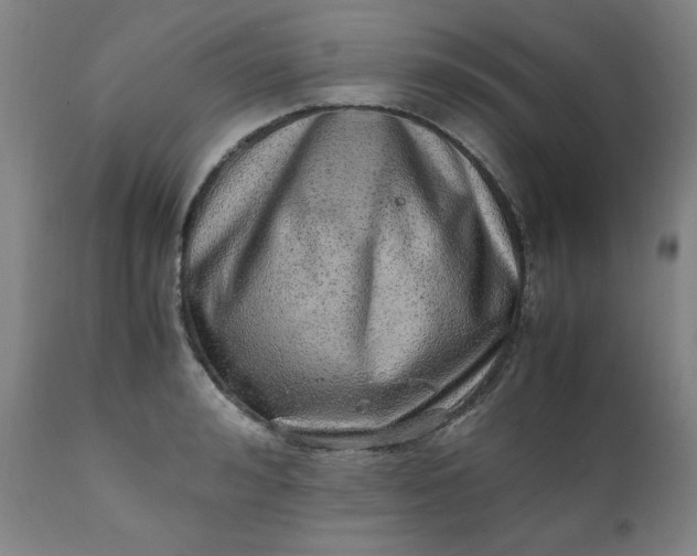 X0000110910992200907021431