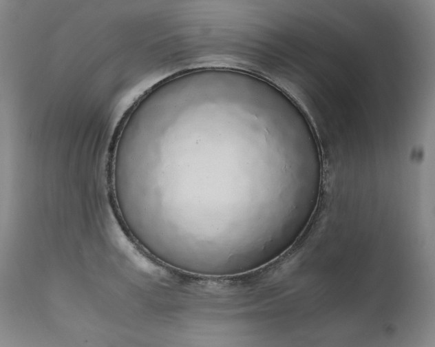 X0000110910995200907021431