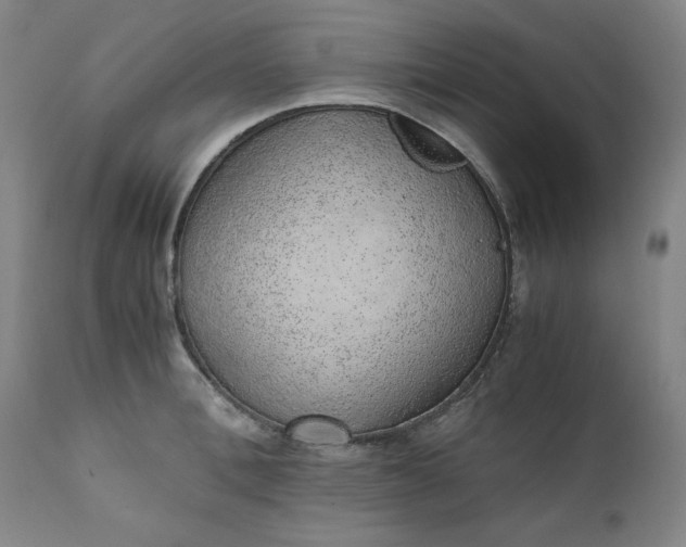 X0000110910996200907021431