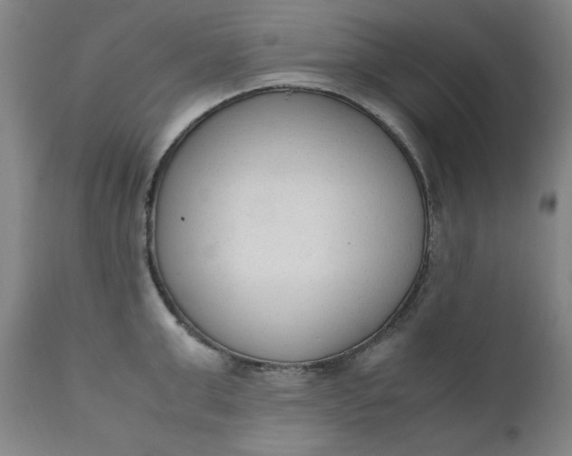 X0000110910999200907021431