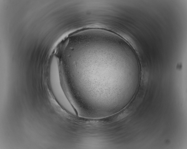 X0000110911000200907021431