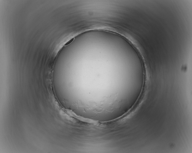 X0000110911001200907021431