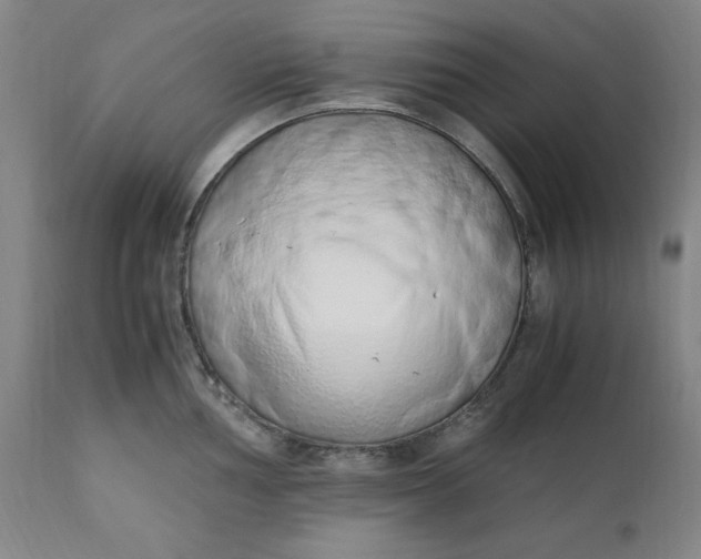 X0000110911002200907021431