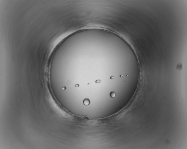 X0000110911003200907021431