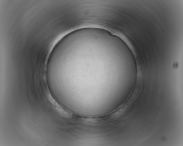 X0000110911004200907021430