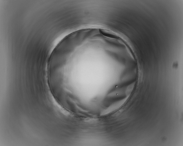 X0000110911006200907021430