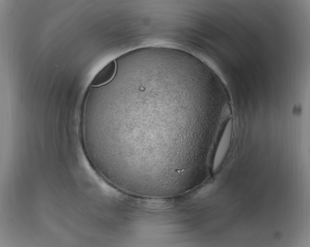 X0000110911007200907021430