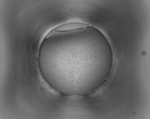 X0000110911008200907021430