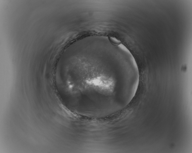 X0000110911009200907021430